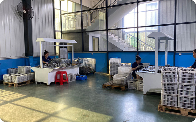 Inspection-of-semi-finished-products5